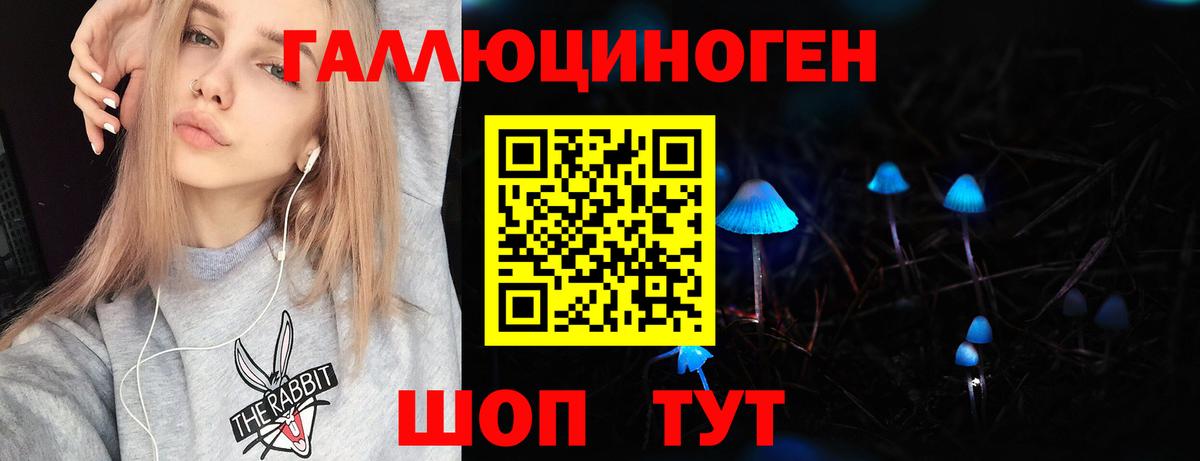 Галлюциногенные грибы Psilocybe Ачинск